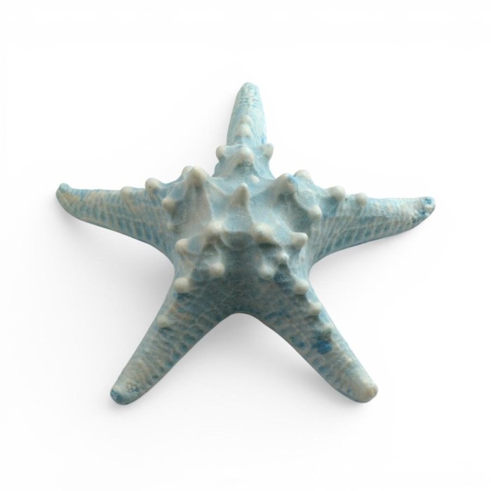 STELLA MARINA 16X16X4CM BLUE